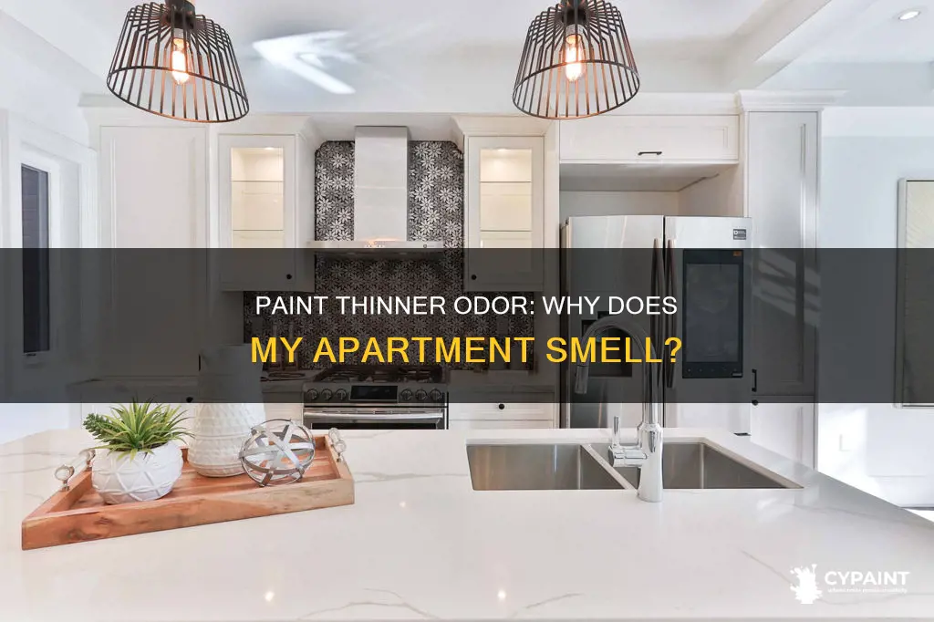 what is the paint thinner odor in my apartment
