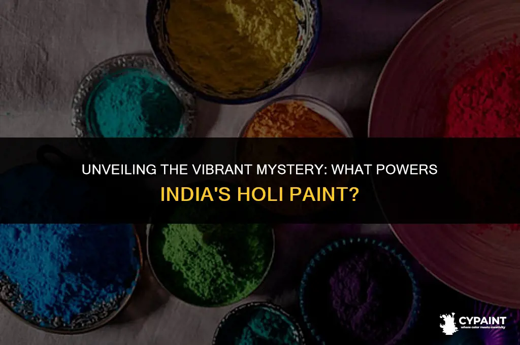 what is the paint thrown around in india made of