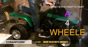 Selecting the Perfect Paint for Your 4-Wheeler
