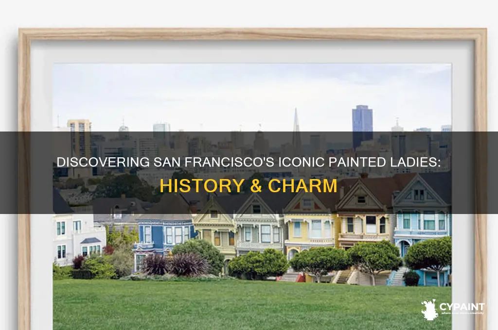 what is the painted ladies in san francisco