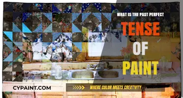 Understanding the Past Perfect Tense of 'Paint': A Comprehensive Guide