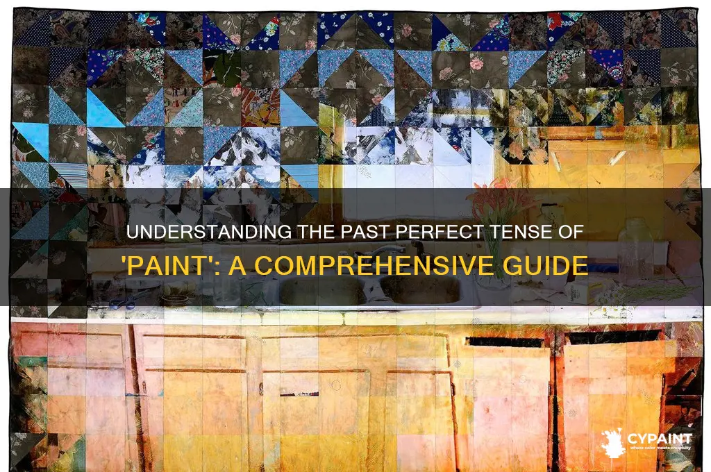 what is the past perfect tense of paint