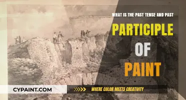 Exploring the Past Tense and Past Participle of 'Paint