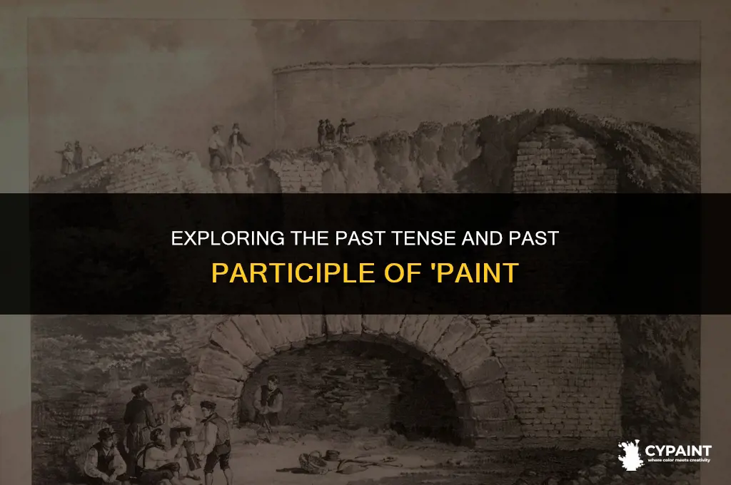 what is the past tense and past participle of paint