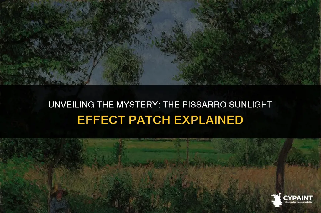 what is the patch on the pissaro painting sunlight effect