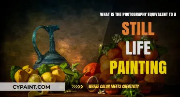 Capturing Stillness: Photography's Parallel to Still Life Painting