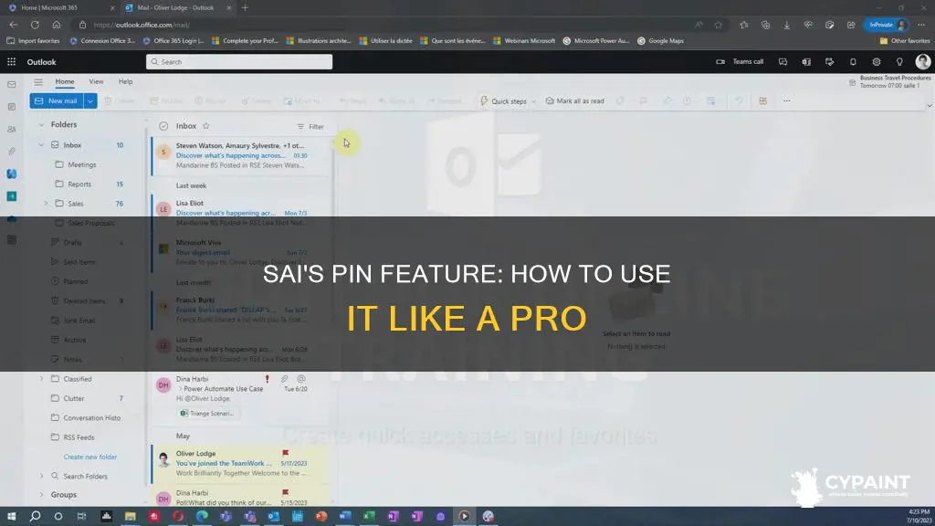 what is the pin in paint tool sai for
