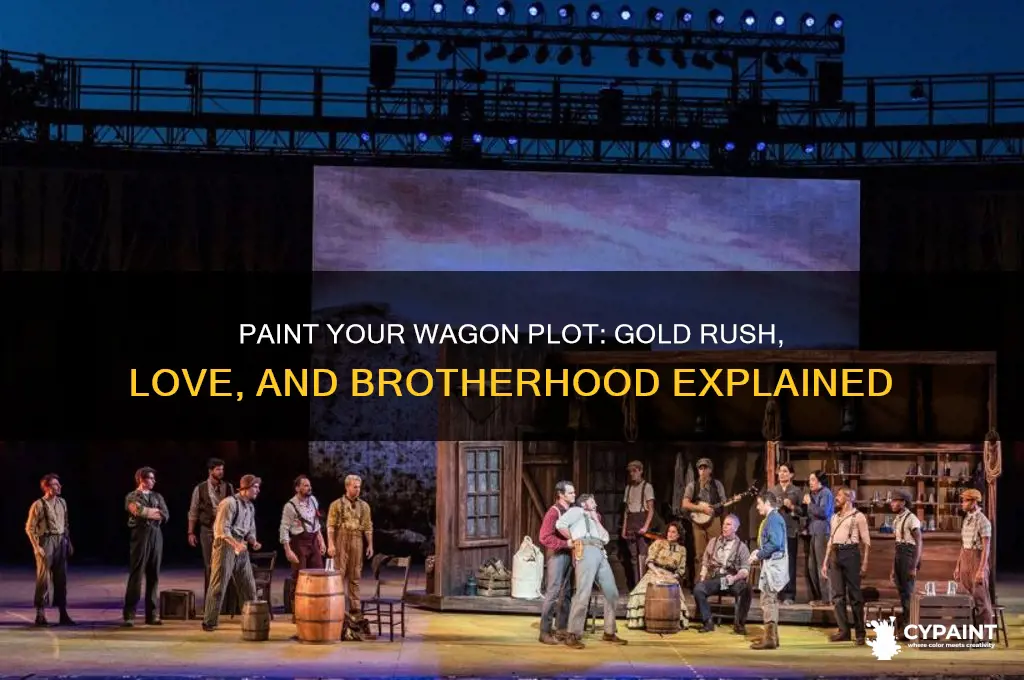 Paint Your Wagon Plot: Gold Rush, Love, And Brotherhood Explained | CyPaint