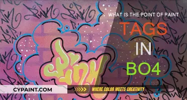 Why Paint Tags Matter in BO4