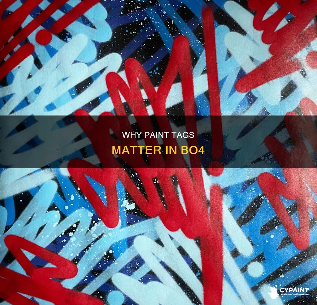 what is the point of paint tags in bo4