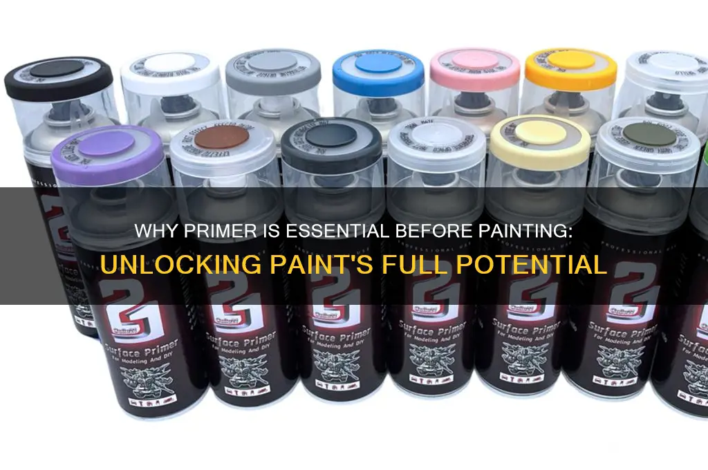 what is the point of primer for paint