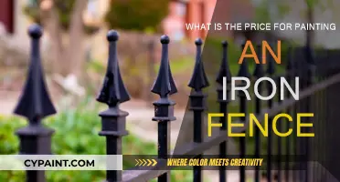 Painting an Iron Fence: What's the Cost?