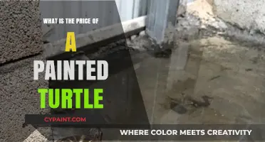 Understanding the Cost of Owning a Painted Turtle: A Comprehensive Guide