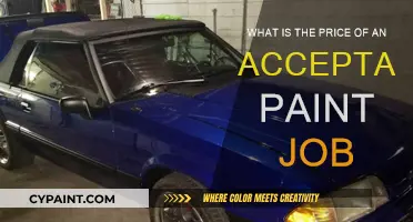 How Much Does a Decent Paint Job Cost?