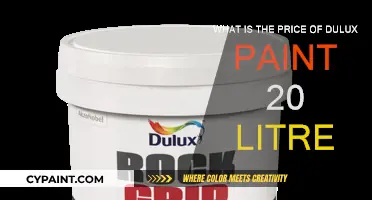Dulux Paint: 20-Litre Price and Value