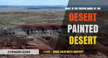 Unveiling the True Name of the Desert Painted Desert