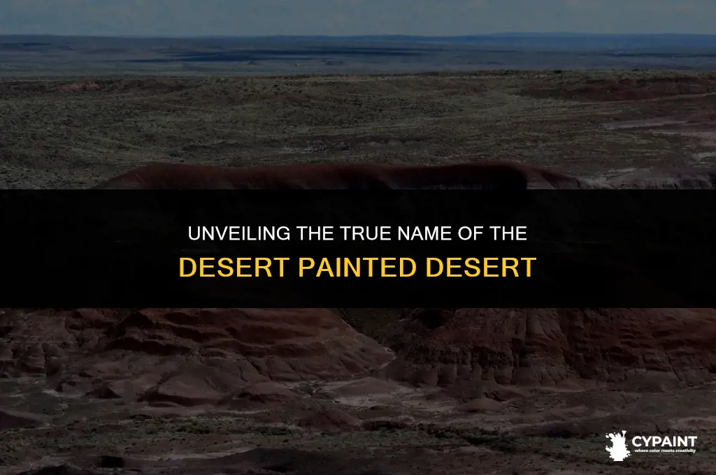 what is the proper name of the desert painted desert