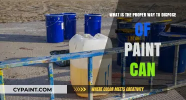 Eco-Friendly Paint Can Disposal: A Step-by-Step Guide