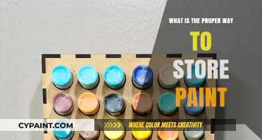 Mastering Paint Storage: Tips for Preserving Quality and Longevity
