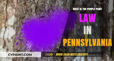 Understanding Pennsylvania's Purple Paint Law: Boundaries, Penalties, and Protection