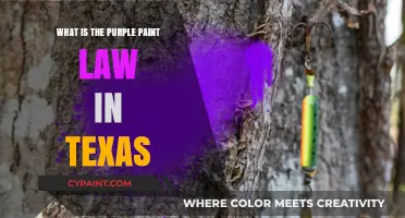 Understanding Texas' Purple Paint Law: Boundaries, Penalties, and Legal Insights