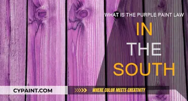 The Purple Paint Laws of the South Explained
