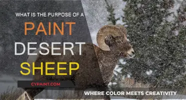 Paint Desert Sheep: Purposeful and Beautiful