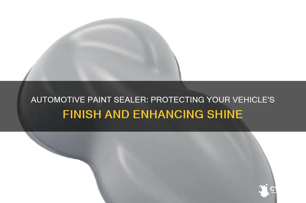 what is the purpose of automotive paint sealer