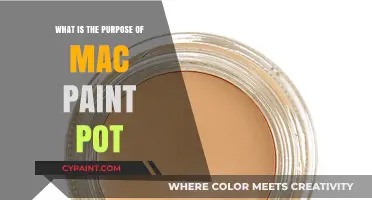 Unlocking the Magic: Understanding the Purpose of MAC Paint Pot