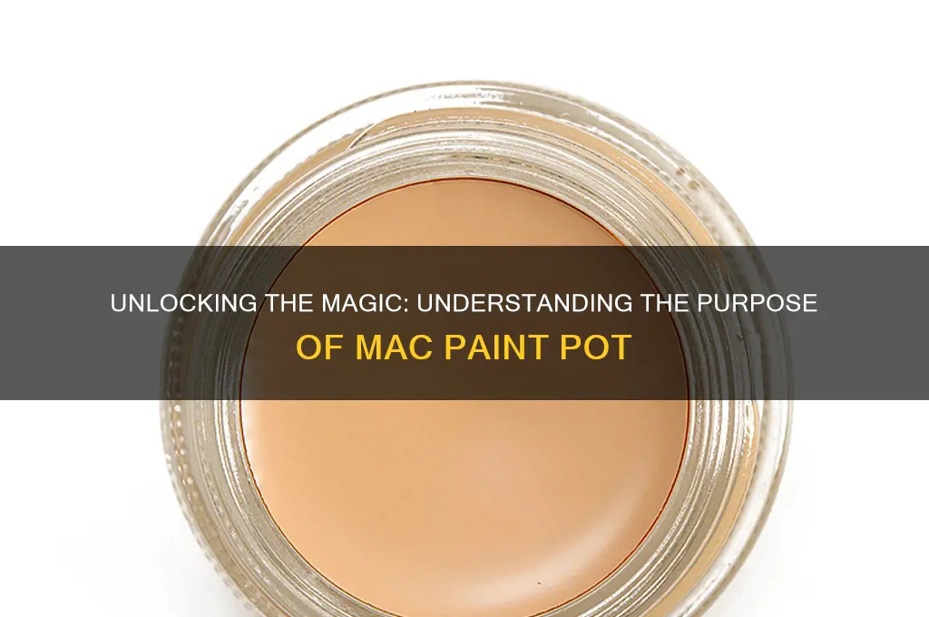 what is the purpose of mac paint pot