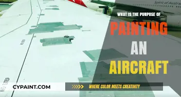 Why Aircraft Painting Matters: Purpose, Benefits, and Essential Functions