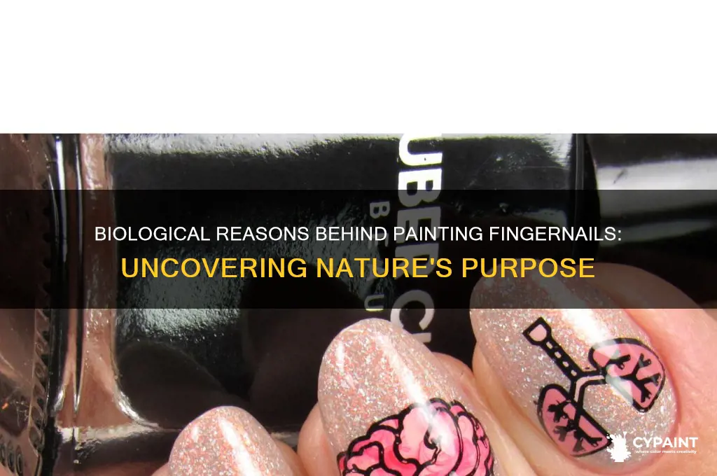 what is the purpose of painting fingernails biological