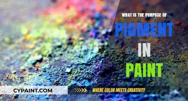 Understanding the Role of Pigment in Paint: Color, Durability, and Function