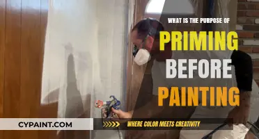Priming Before Painting: Essential Purpose and Benefits Explained