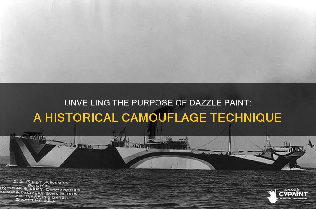 what is the purpose of the dazzle paint