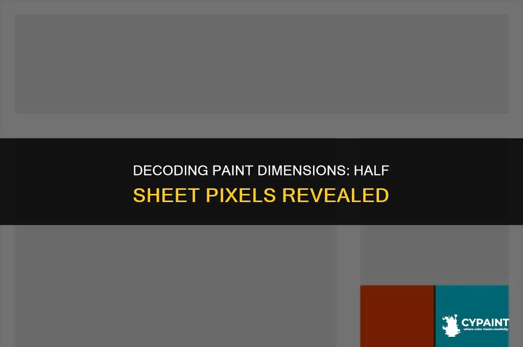 what is the px dimensions in paint for half sheet