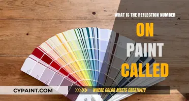 Understanding the Reflection Number on Paint: The LRV Explained