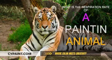 Breathing Patterns: Understanding Animal Respiration Rates