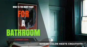 Choosing the Perfect Bathroom Paint: Tips for Durability and Style