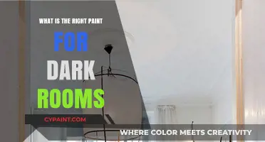 Brightening Dark Rooms: Choosing the Perfect Paint for Limited Light