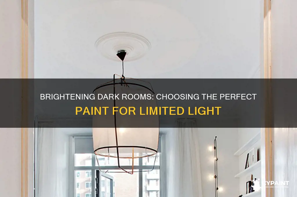 what is the right paint for dark rooms