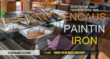 Encaustic Painting Iron: Finding the Perfect Temperature Range