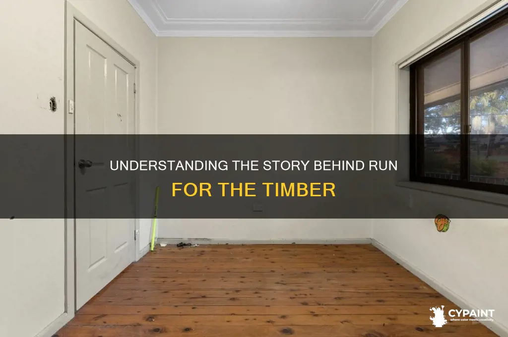 what is the run for the timber painting about