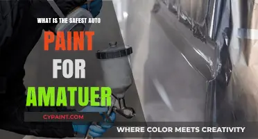 Choosing the Safest Auto Paint for Amateur Car Enthusiasts