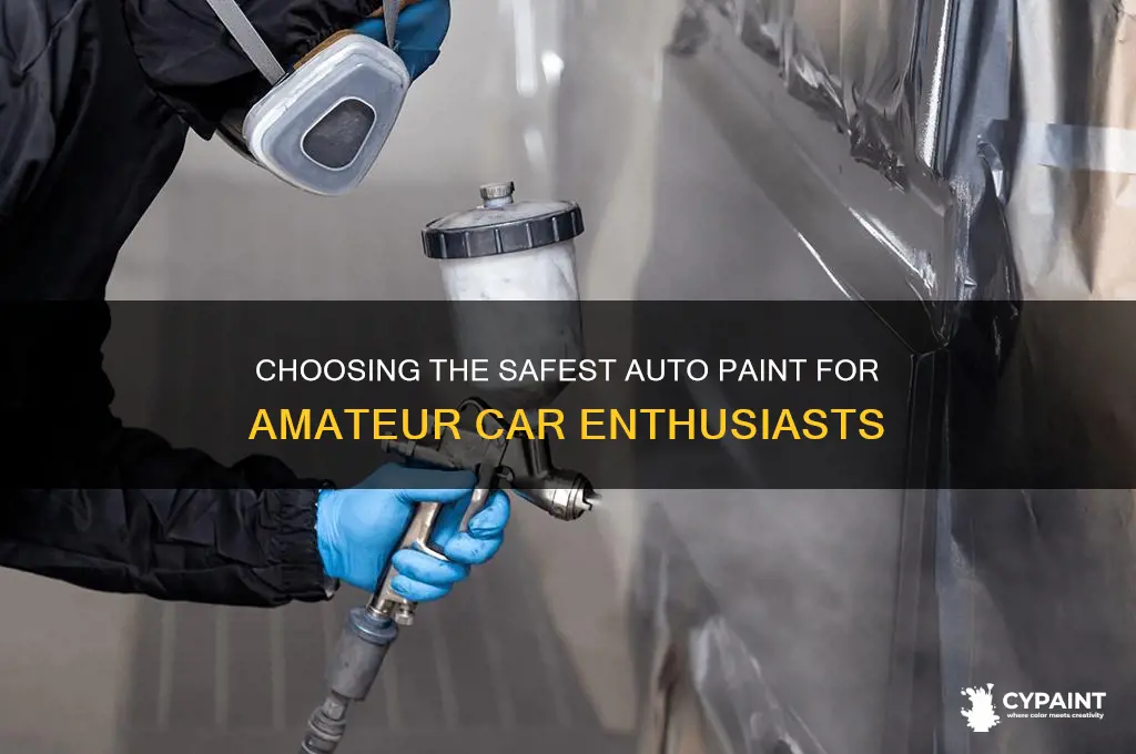 what is the safest auto paint for amatuer