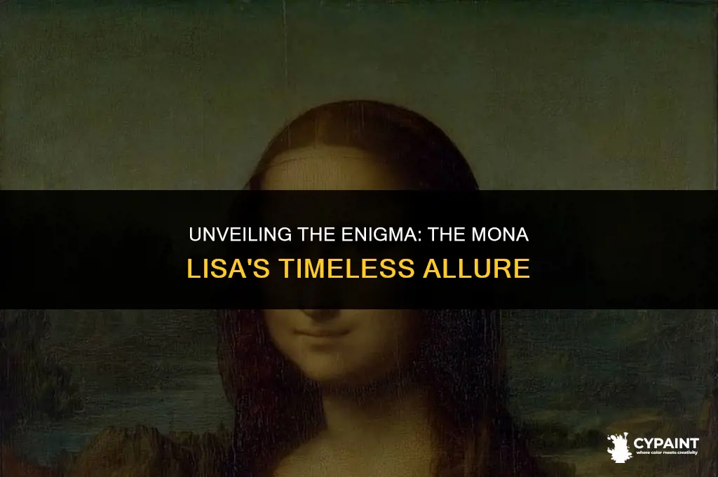 what is the secret behind the painting of mona lisa