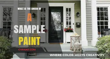 Understanding the Sheen of Sample Paint: A Comprehensive Guide