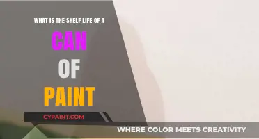 Unveiling the Secrets: How Long Does Paint Last?