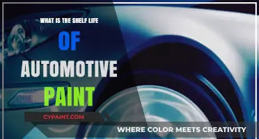How Long Does Automotive Paint Last? Shelf Life Explained