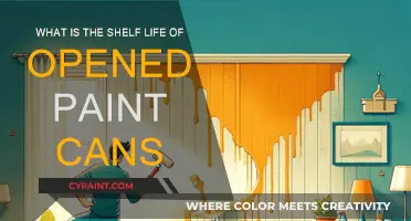 How Long Does Opened Paint Last?